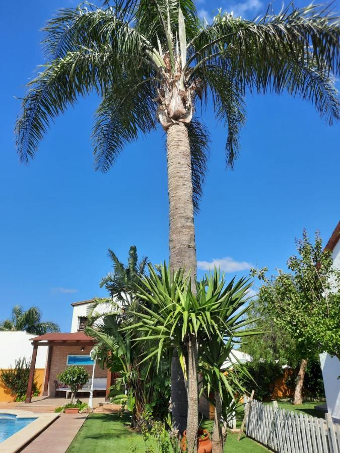 Chalet La Huerta Con Piscina Y Wifi Conil de la Frontera Kültér fotó