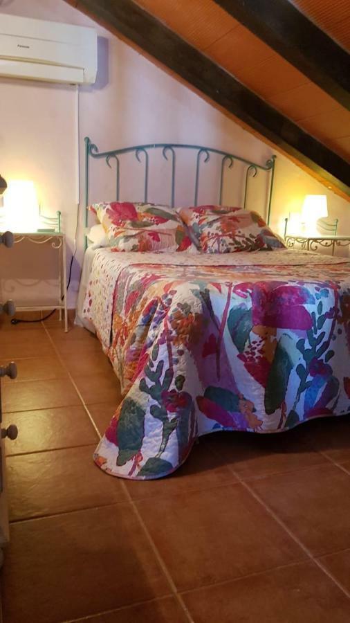 Chalet La Huerta Con Piscina Y Wifi Conil de la Frontera Kültér fotó