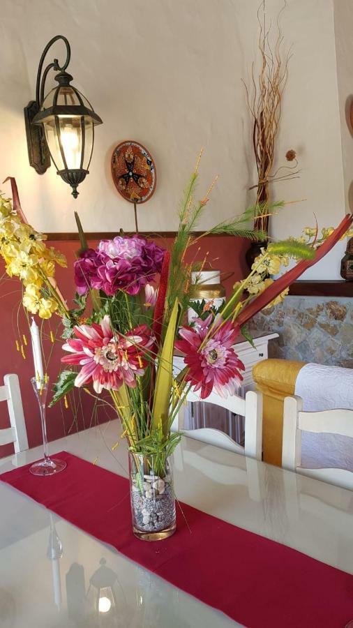Chalet La Huerta Con Piscina Y Wifi Conil de la Frontera Kültér fotó